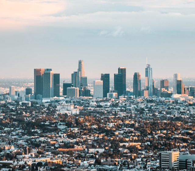 Los Angeles - Professionals